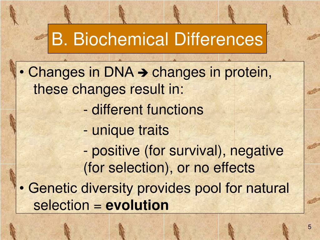PPT Is There Something Fishy About Evolution? A look at biochemical