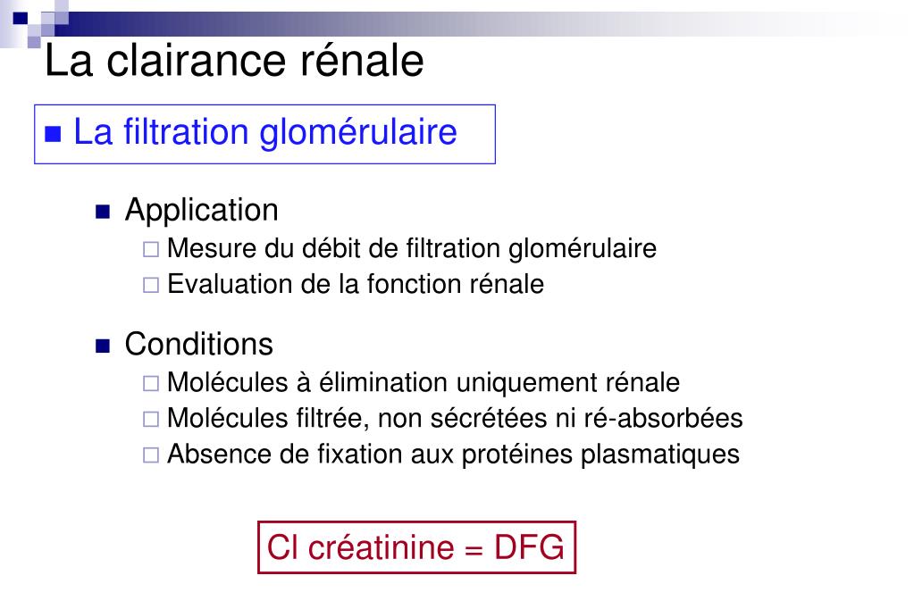 PPT La clairance rénale Alain BousquetMélou PowerPoint Presentation