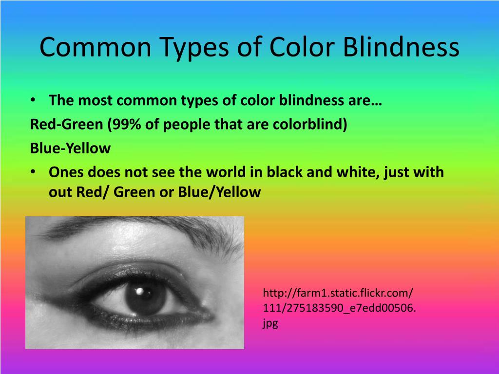 PPT Color Blindness PowerPoint Presentation, free download ID5714704