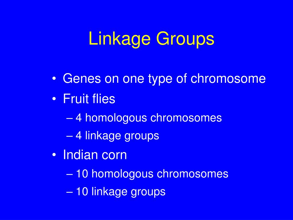 PPT Chromosomes and Human PowerPoint Presentation, free
