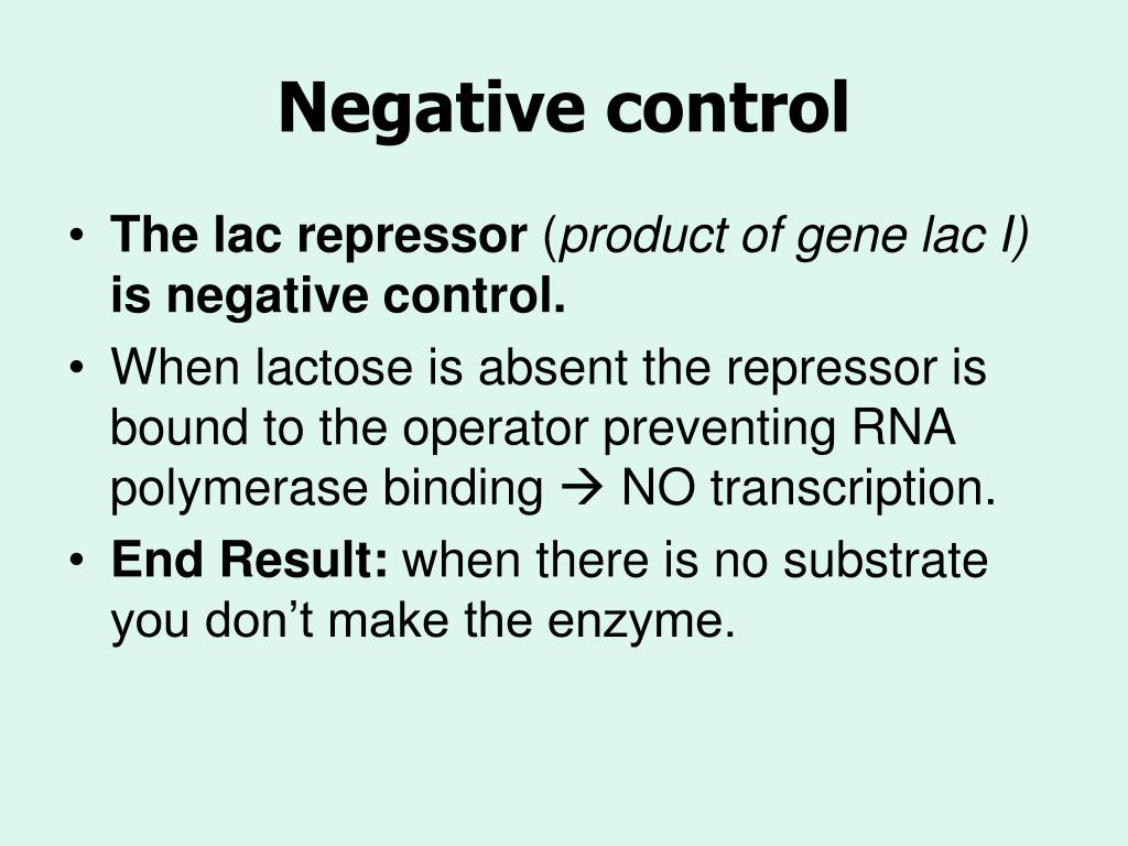 PPT Transcription Regulation PowerPoint Presentation, free download