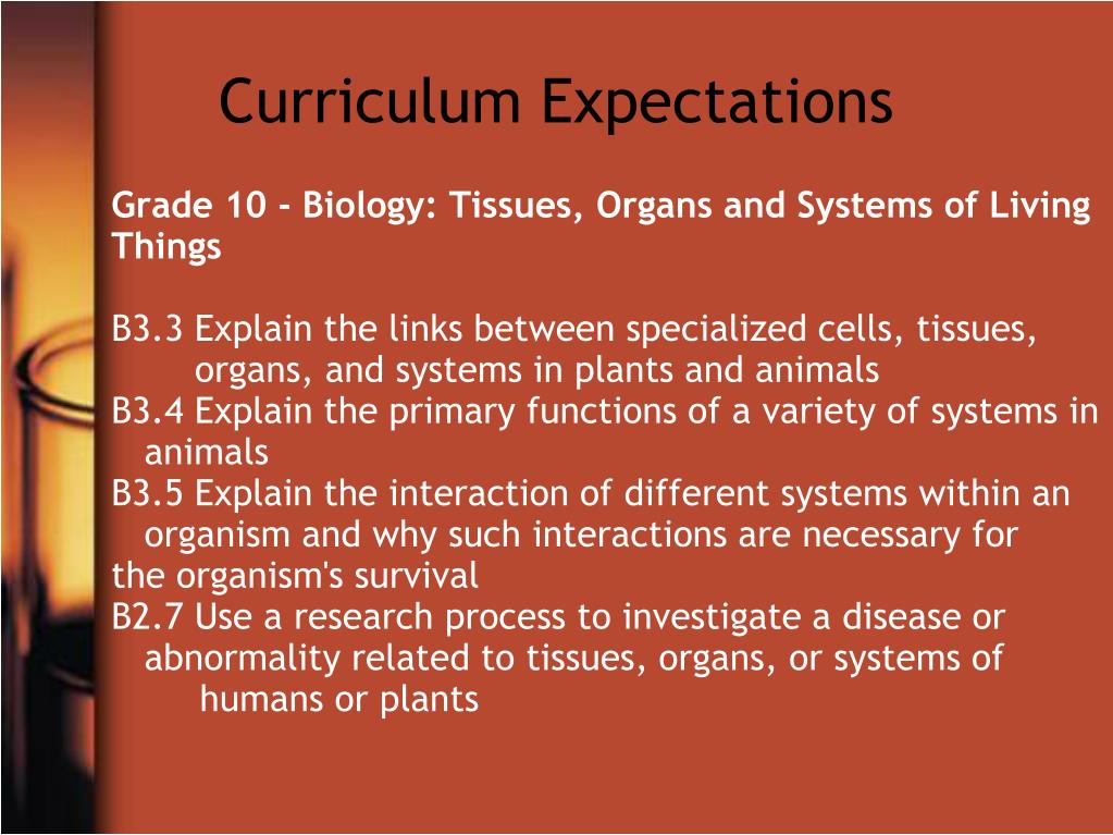 PPT Teaching the Concept of the Circulatory System Animals vs