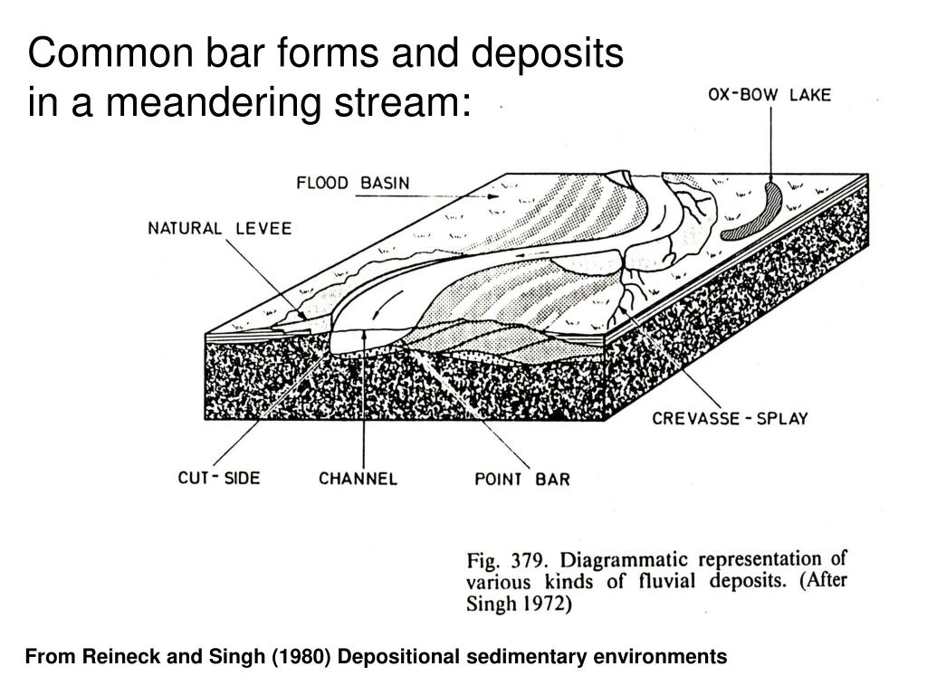 Depositional Sedimentary Environments: Google Books