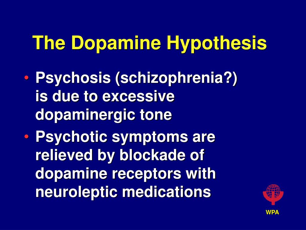 PPT The Dopamine Hypothesis PowerPoint Presentation ID5723336