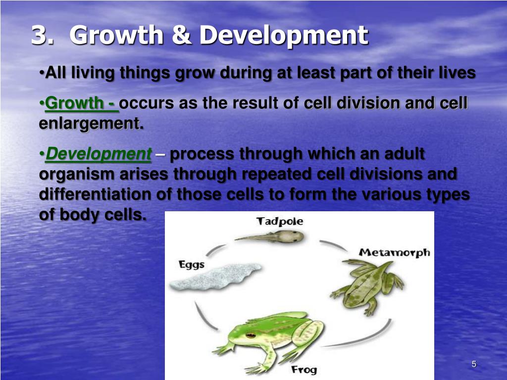 PPT Introduction to Biology PowerPoint Presentation, free download