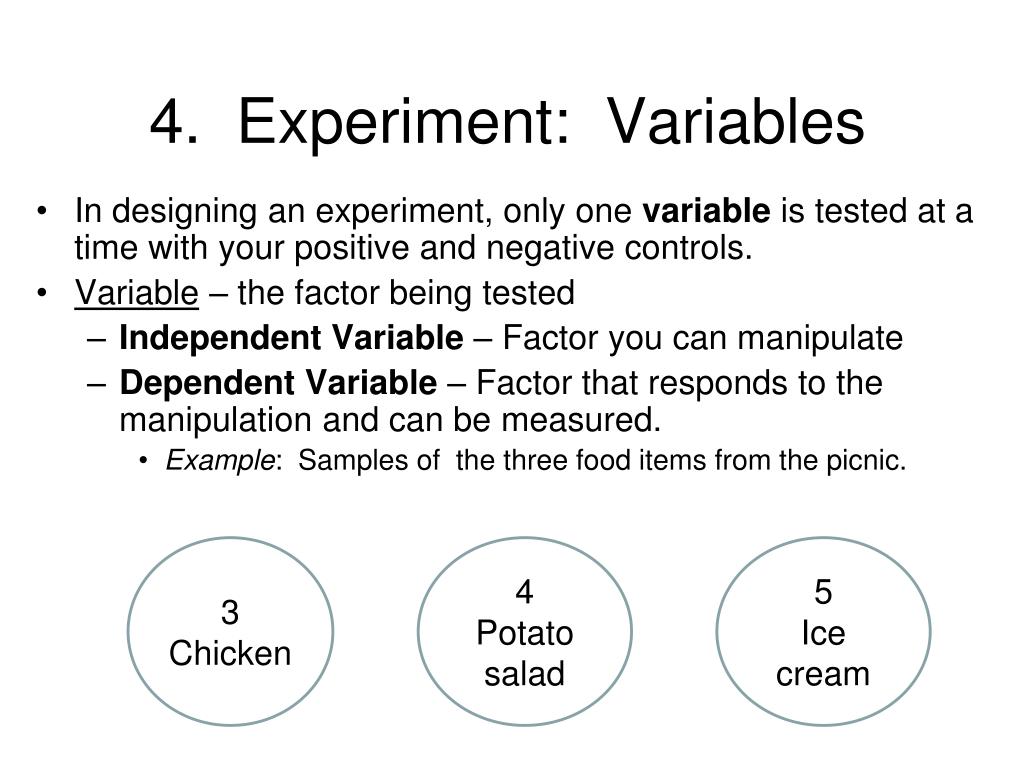 PPT MID YEAR BIOLOGY REVIEW PowerPoint Presentation, free download