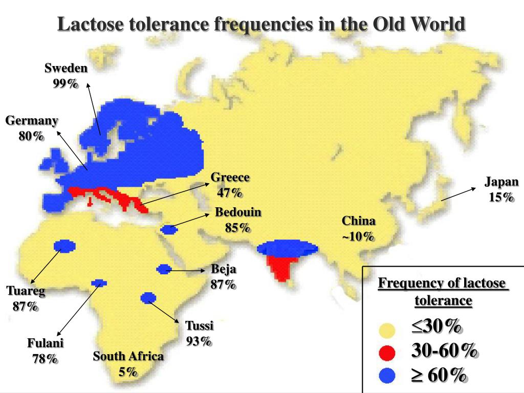 PPT The evolution of lactose tolerance PowerPoint Presentation, free