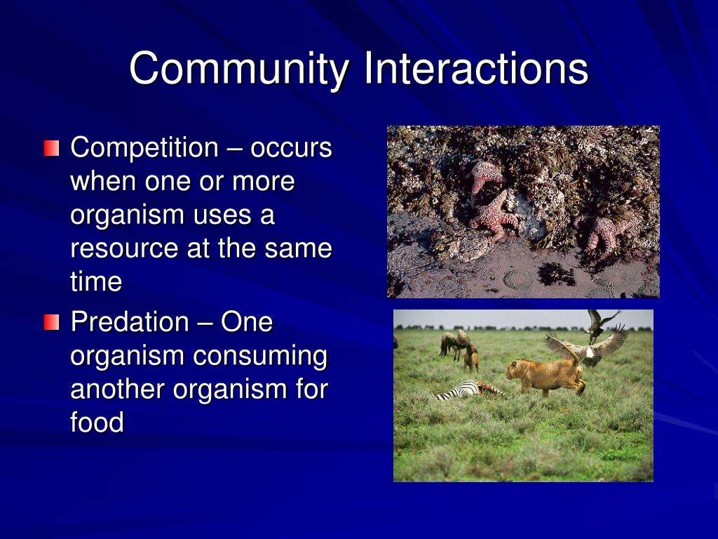 Kinds Of Organism Interactions Community Interactions