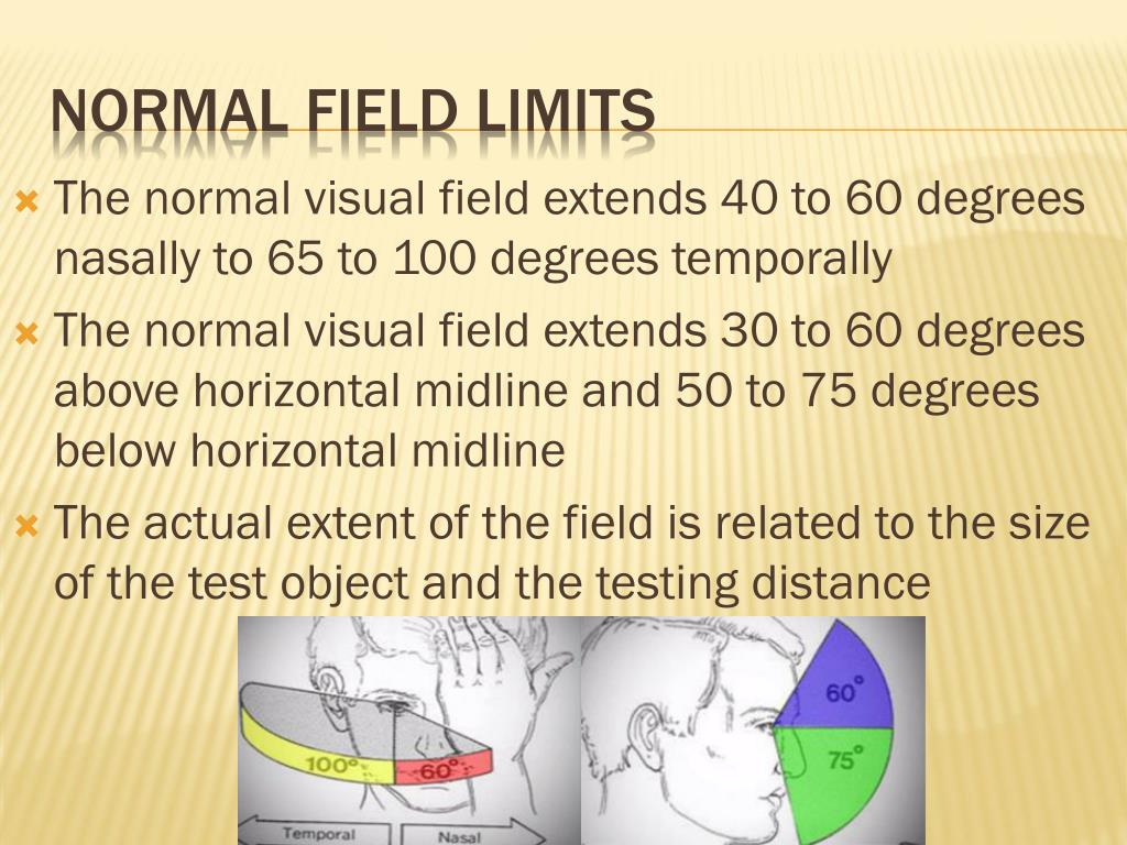 PPT Functional Visual Field Assessment and Management PowerPoint Presentation ID5744746