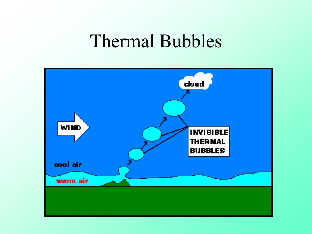 PPT Chapter 12 PowerPoint Presentation, free download ID5745686