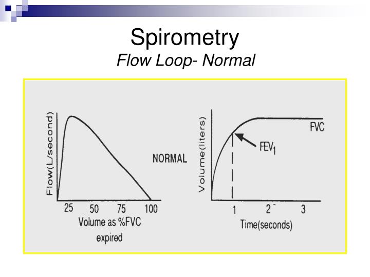 PPT Pulmonary Function Tests PowerPoint Presentation ID5745958