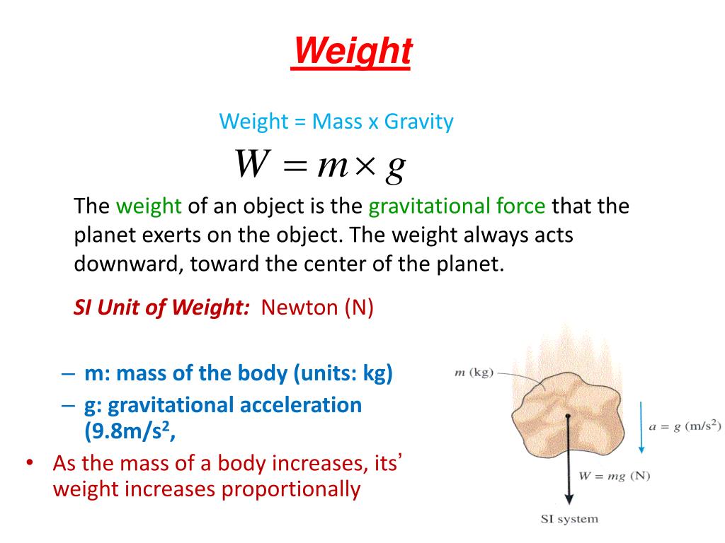 PPT Chapter 3 PowerPoint Presentation, free download ID5747591