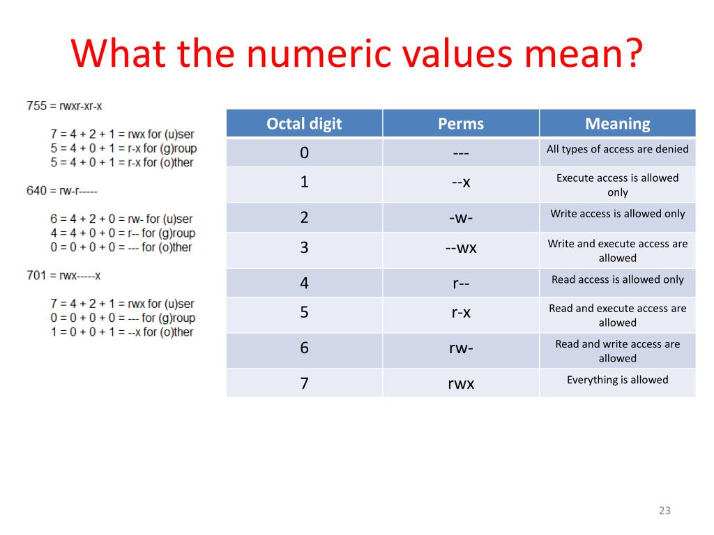 PPT Workbook 4 File Ownerships and Permissions PowerPoint