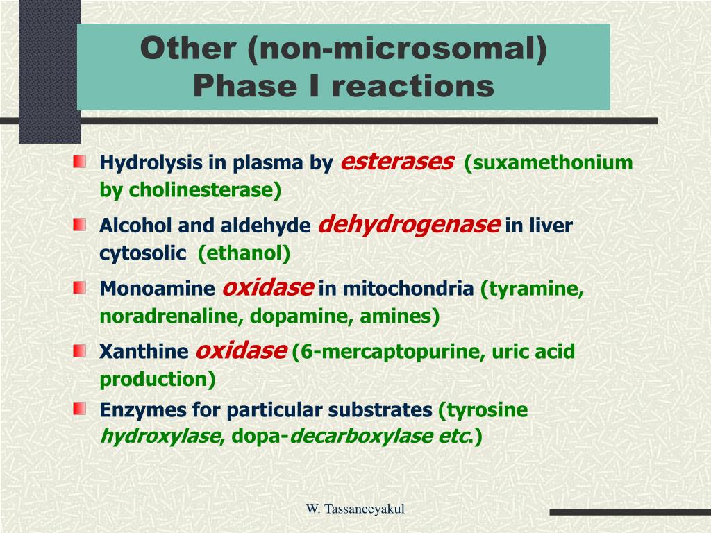 PPT METABOLISM / BIOTRANSFORMATION of TOXICANTS PowerPoint