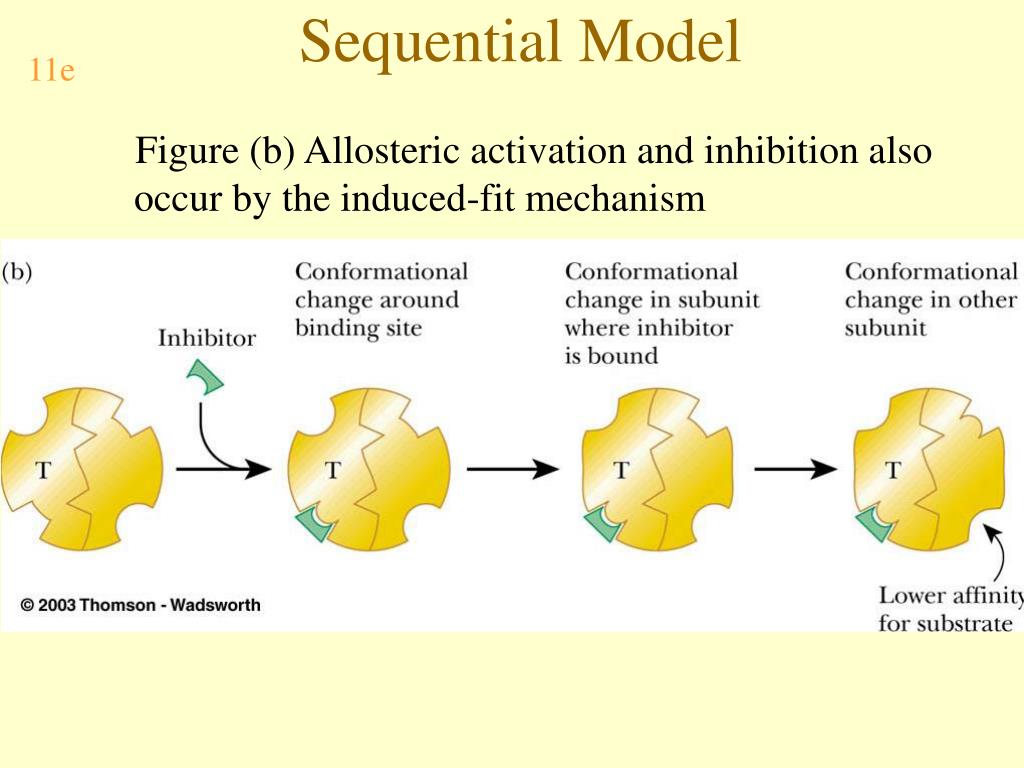 PPT Biochemistry PowerPoint Presentation, free download ID5755720