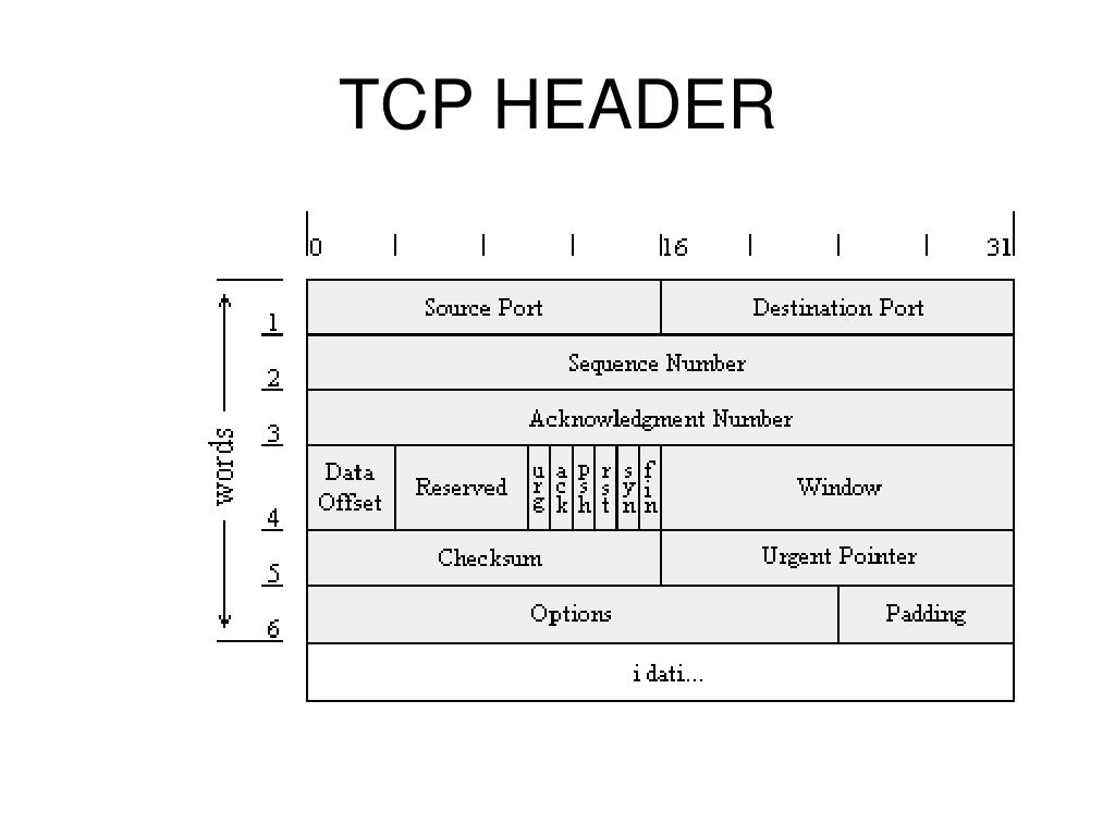 PPT TRANSPORT LAYER PROTOCOLS ( TCP DAN UDP ) PowerPoint Presentation