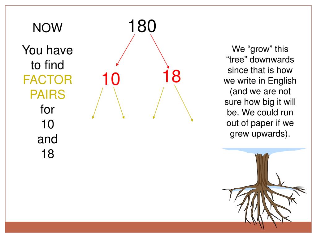 PPT GROWING A FACTOR TREE PowerPoint Presentation, free download ID
