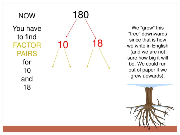 PPT GROWING A FACTOR TREE PowerPoint Presentation ID5758343