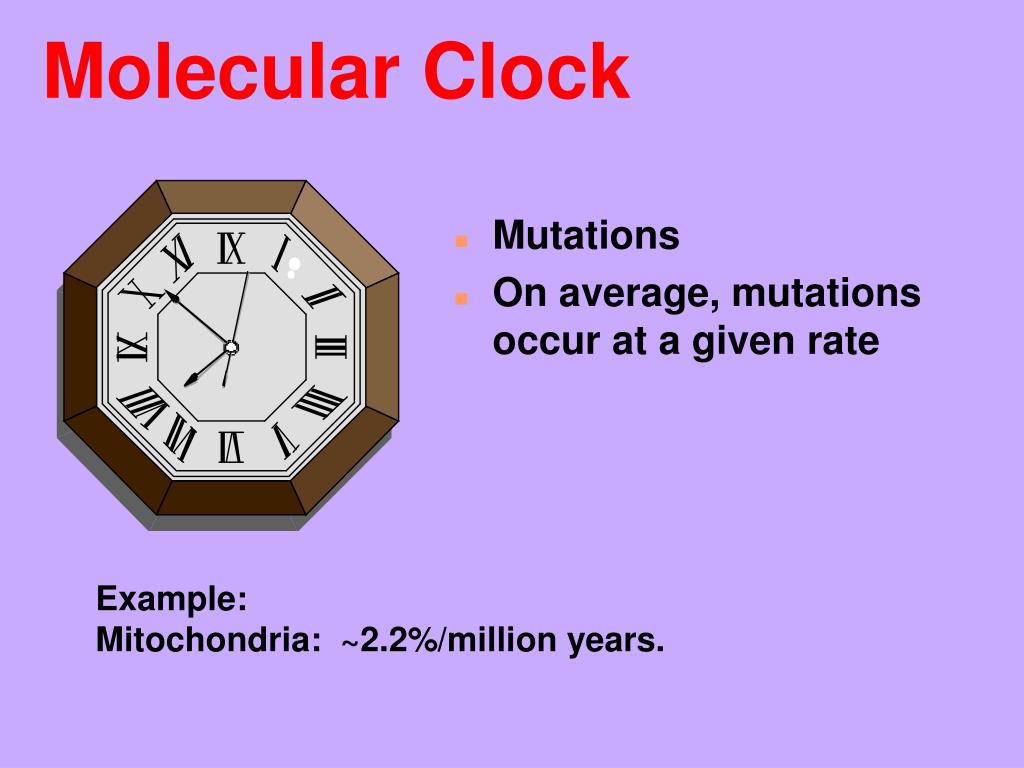 PPT History of Life On Earth PowerPoint Presentation, free download