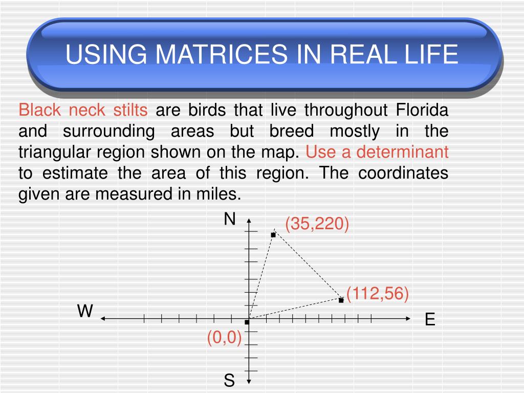 PPT MATRICES & DETERMINANTS PowerPoint Presentation, free download