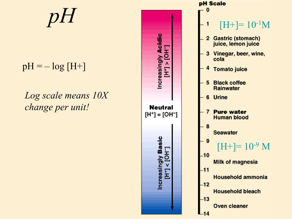 PPT Water Chemistry PowerPoint Presentation, free download ID5763752