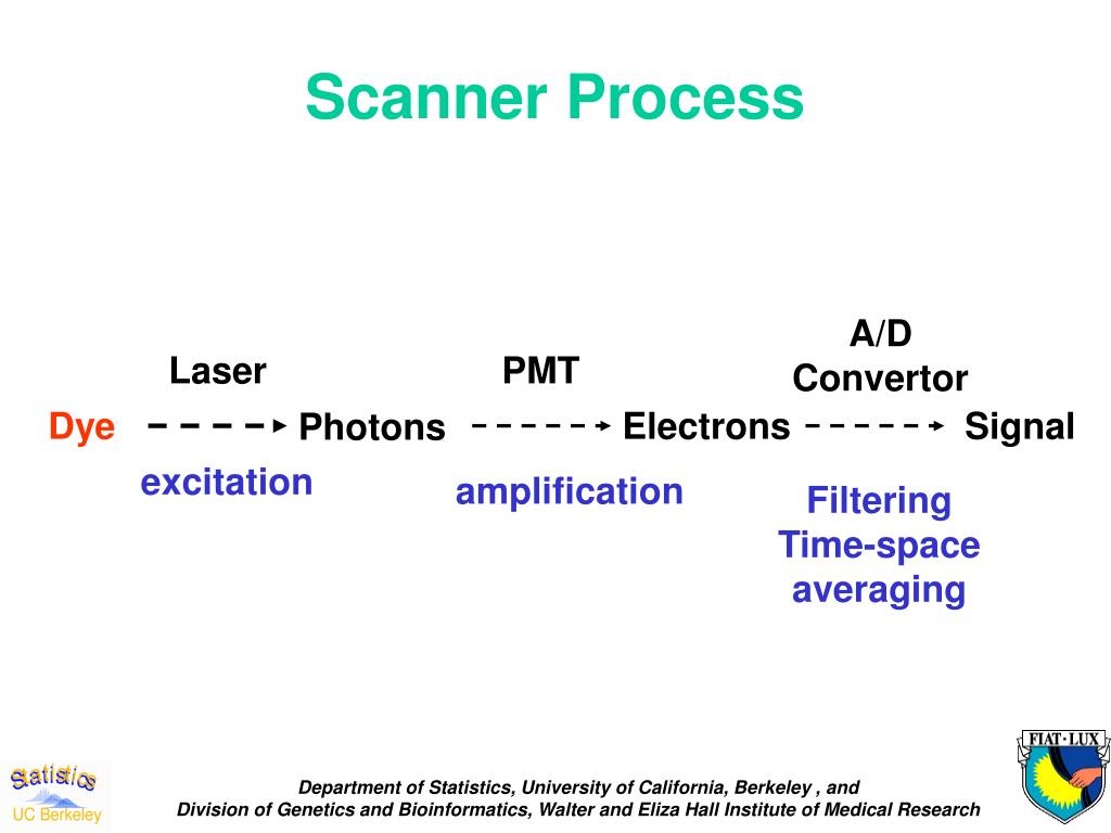 PPT Image Processing for cDNA Microarray Data PowerPoint Presentation
