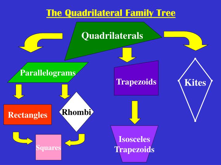 Quadrilateral Family Tree