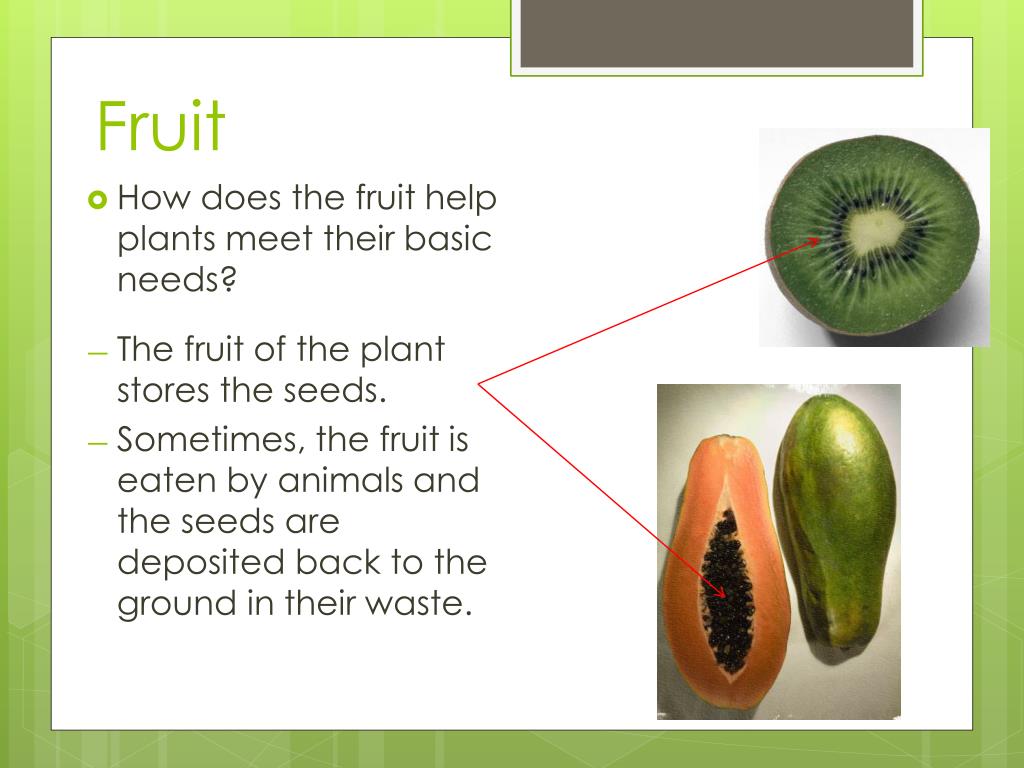 PPT Putting It All Together PowerPoint Presentation, free download