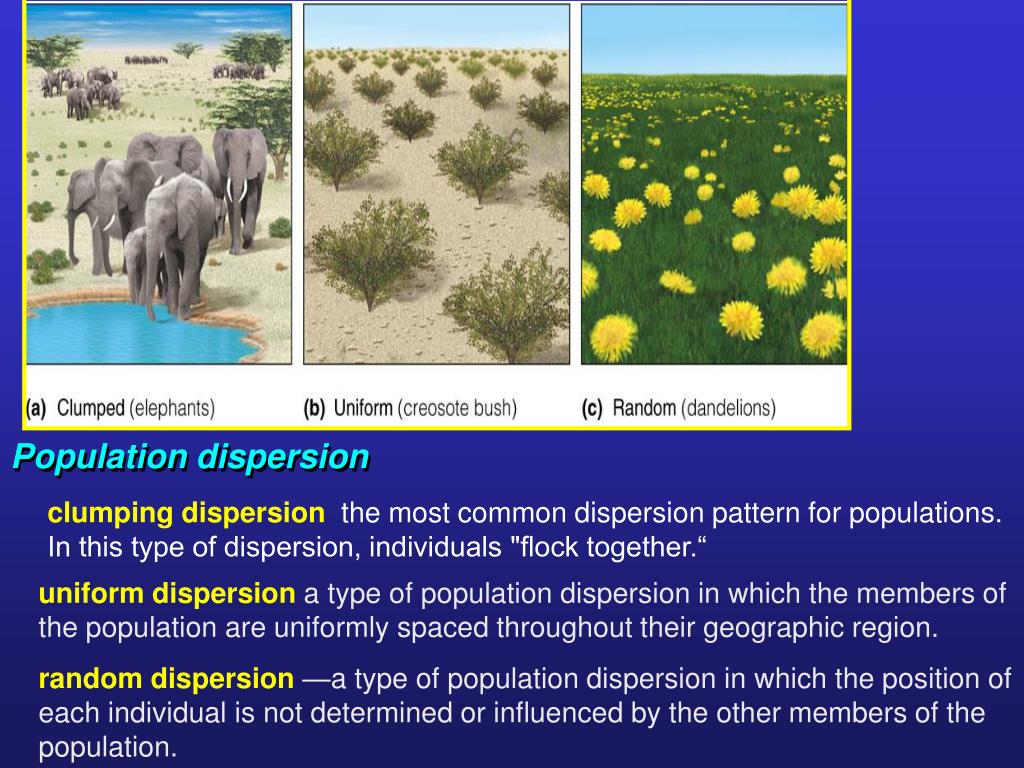 PPT Populations Key Concepts PowerPoint Presentation