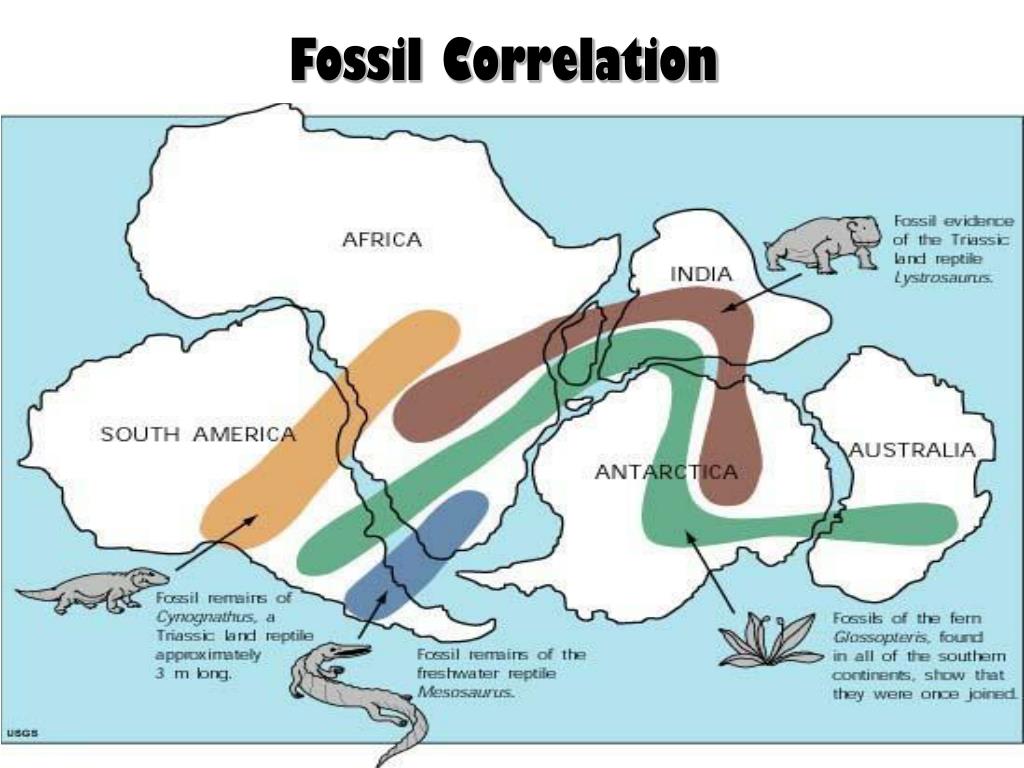 PPT Earth’s History PowerPoint Presentation, free download ID5776835