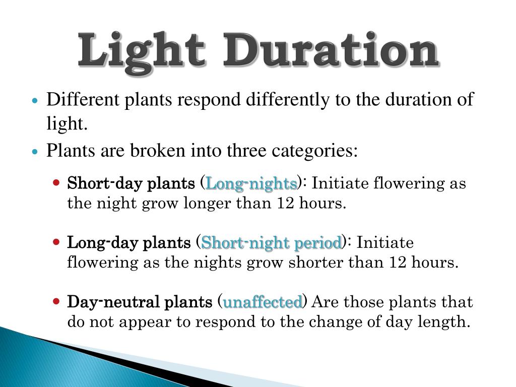 PPT How Color, Duration , and Intensity of Light Effect Plant Growth