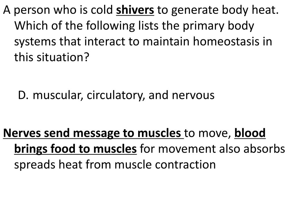 PPT Human Body Systems PowerPoint Presentation, free download ID