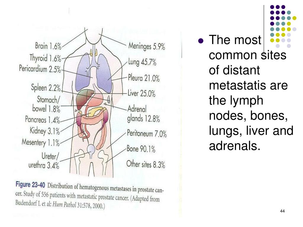 PPT Reproductive System Disorders PowerPoint Presentation, free