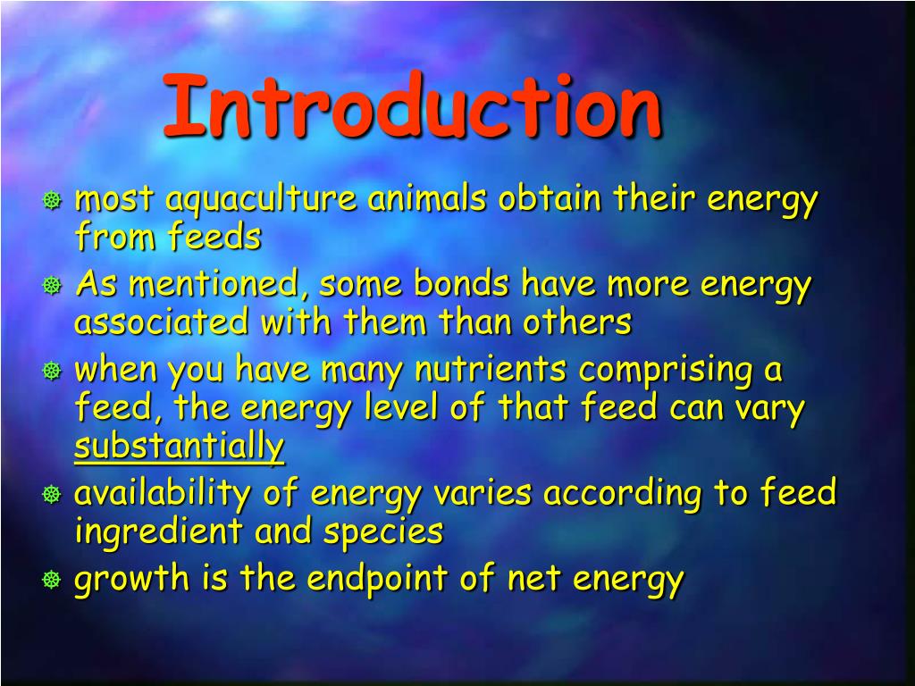 PPT Bioenergetics Calculating Energy Values in Food PowerPoint