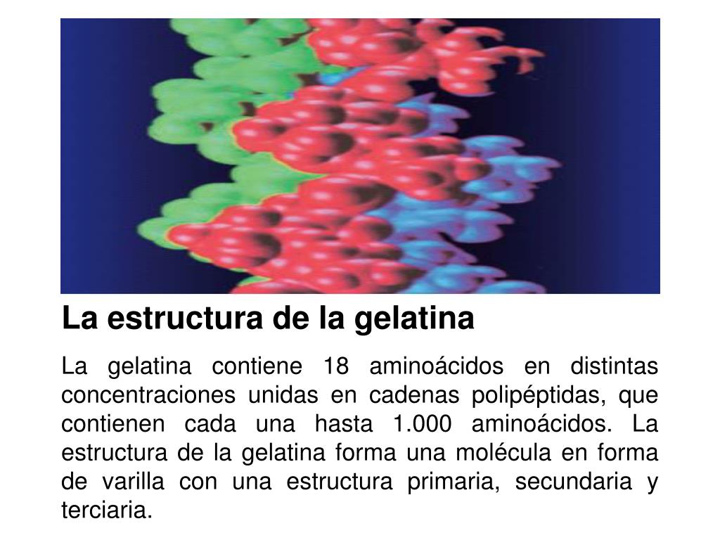 PPT OBTENCION DE GELATINA PowerPoint Presentation, free download ID