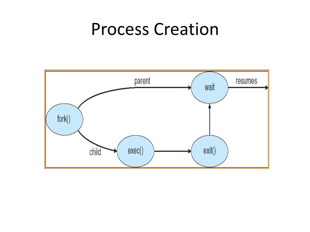 PPT Processes PowerPoint Presentation, free download ID5796361