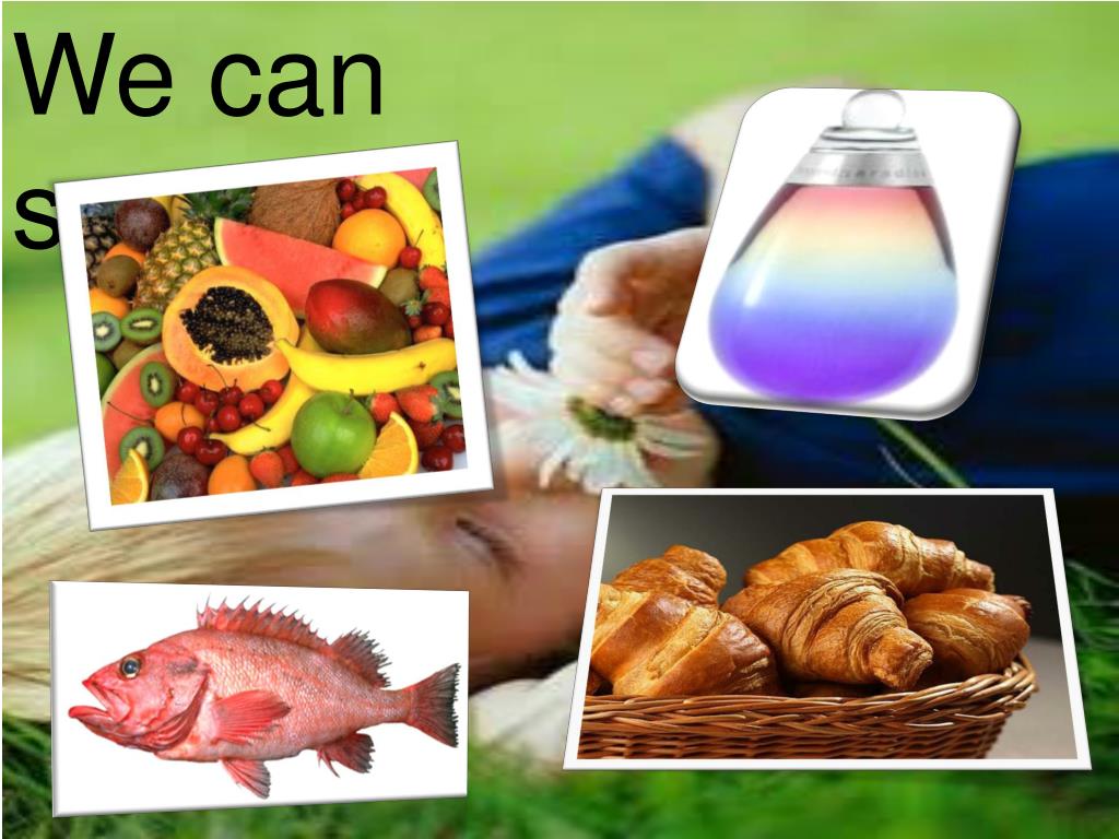 PPT Smell PowerPoint Presentation, free download ID5797187