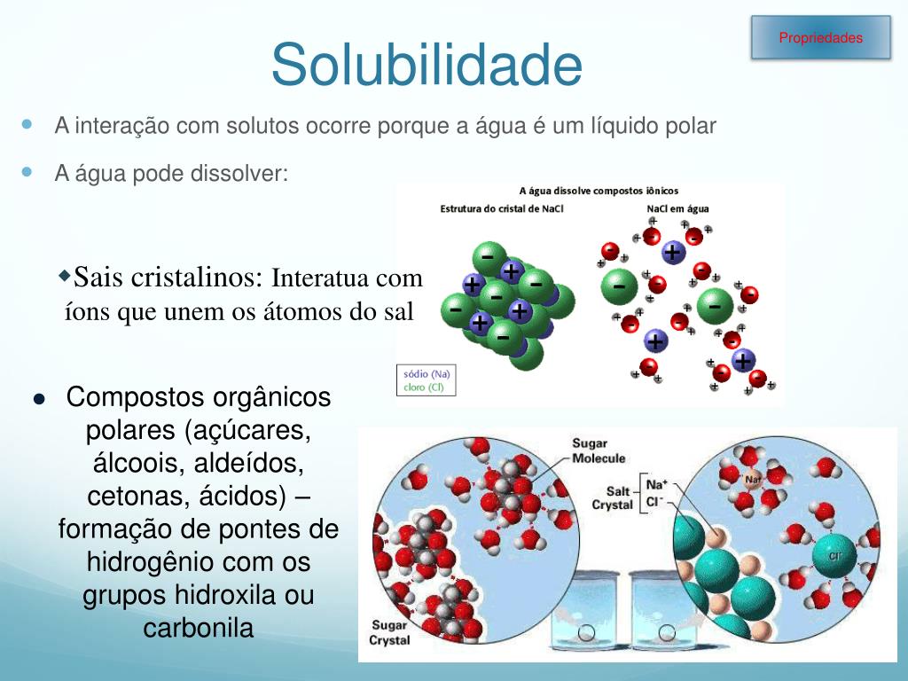 O Que É Solubilidade
