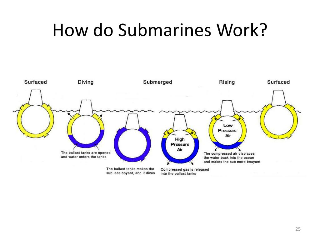 PPT Buoyancy and Pressure PowerPoint Presentation, free download ID