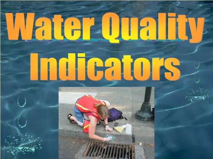 PPT Water Quality Indicators PowerPoint Presentation, free download