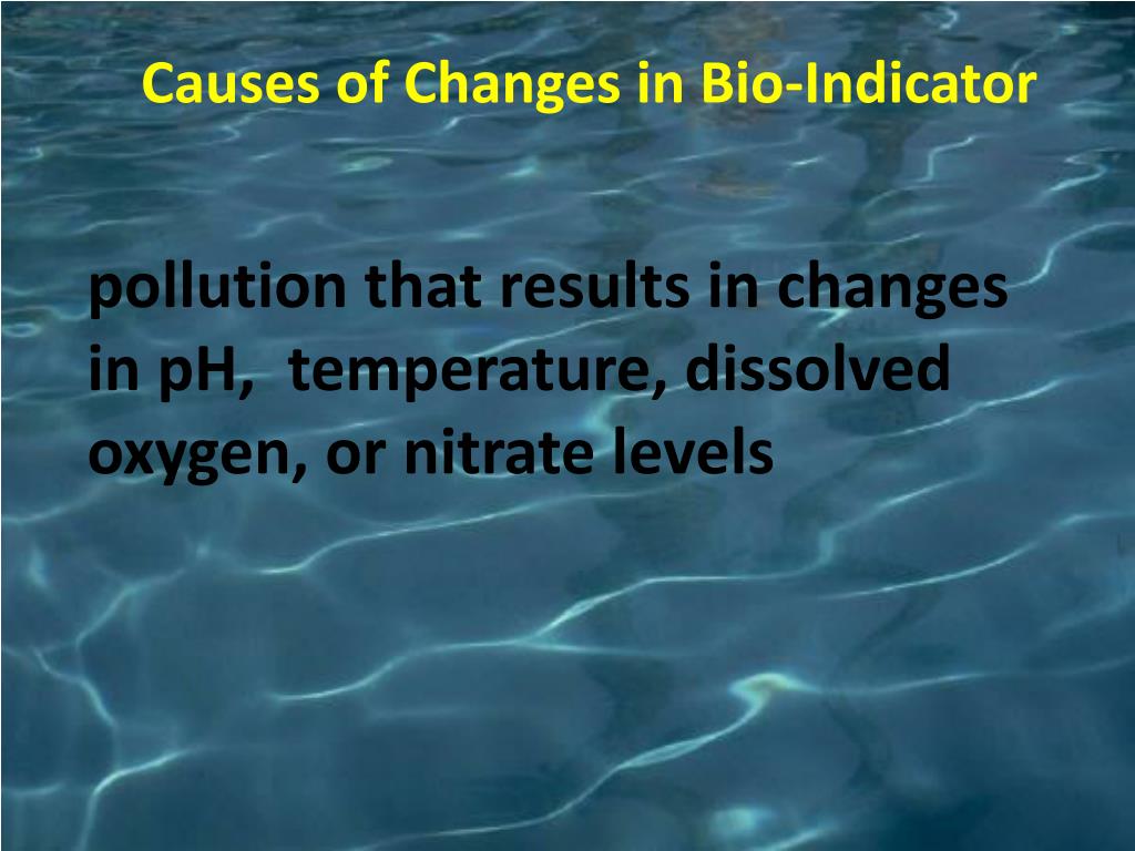 PPT Water Quality Indicators PowerPoint Presentation, free download