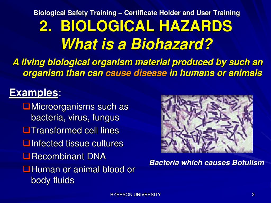 PPT 2. BIOLOGICAL HAZARDS PowerPoint Presentation, free download ID