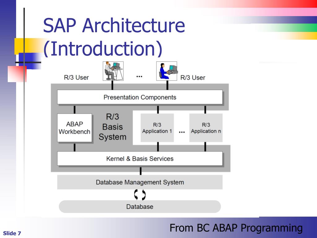 PPT Summary of The SAP Ecosystem and Functional Software PowerPoint