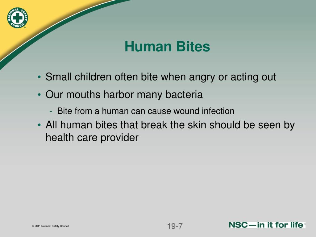 PPT Bites and stings PowerPoint Presentation, free download ID5806350