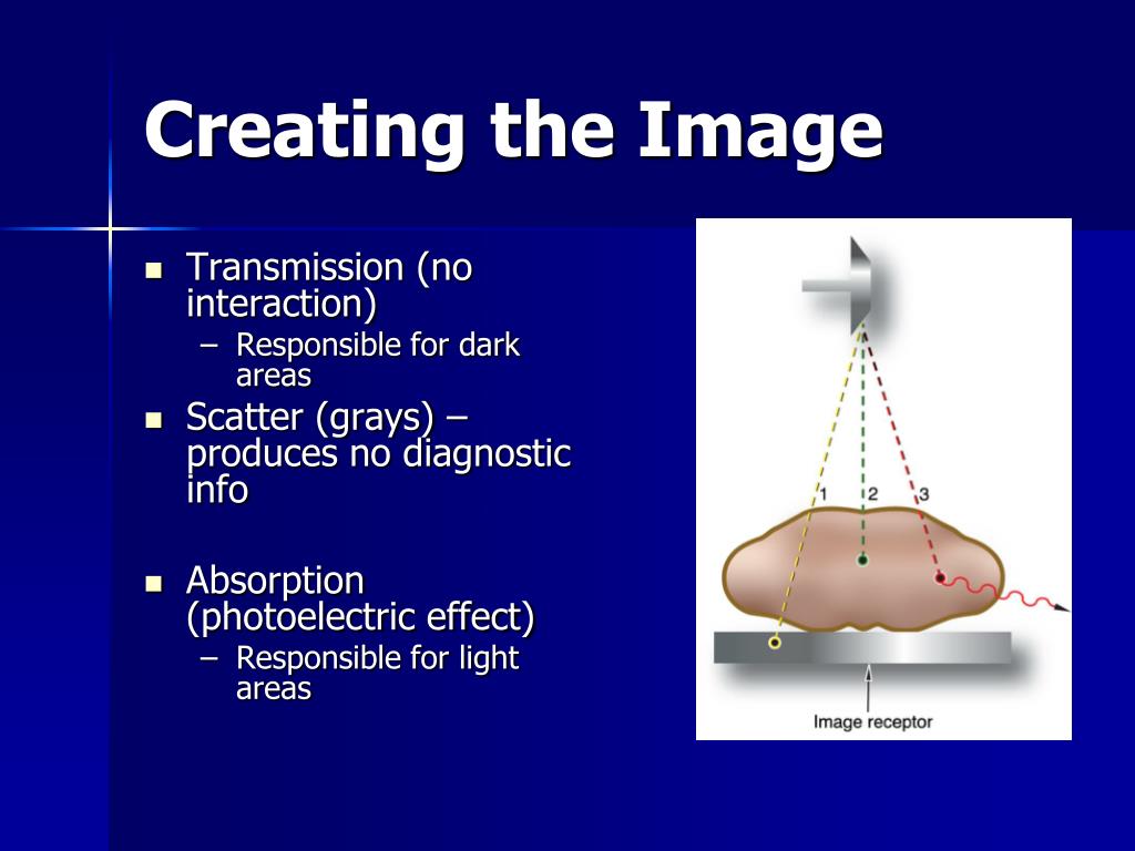 PPT Components of Image Quality & Radiographic Artifacts PowerPoint