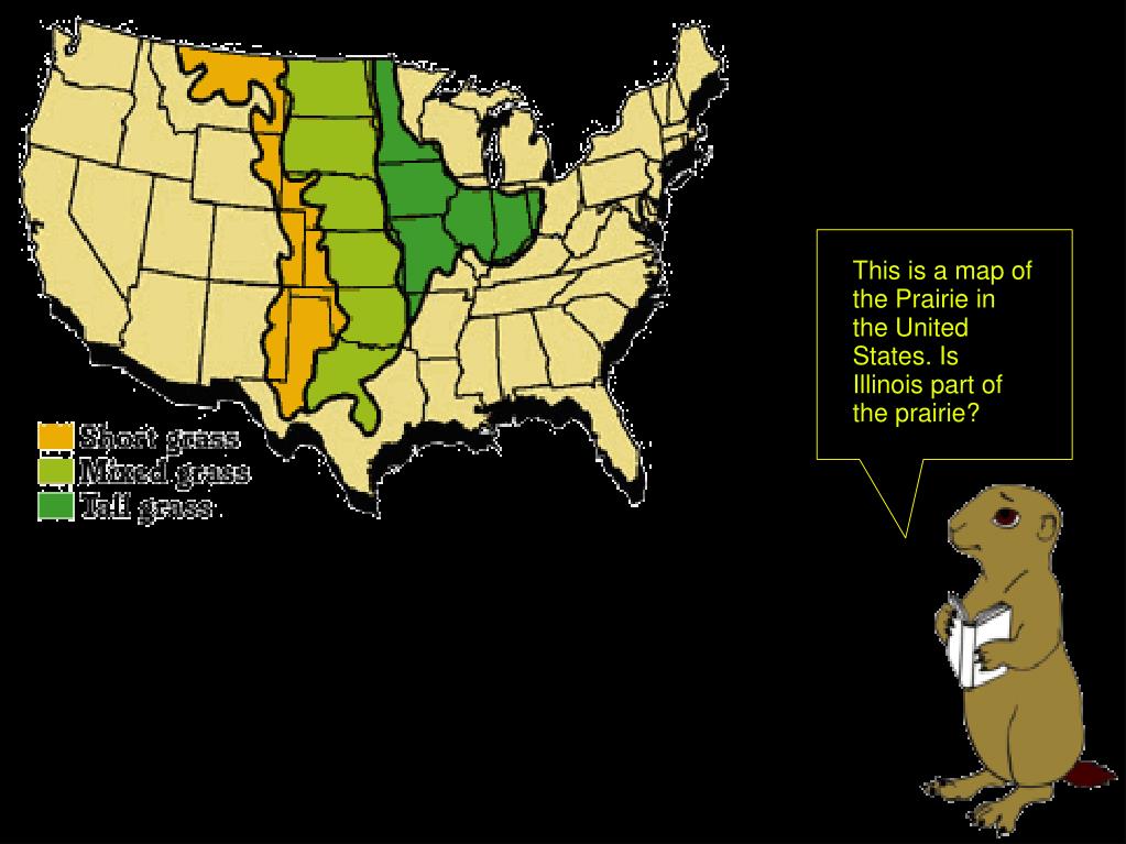 PPT This is what some prairies look like. Can you name some things