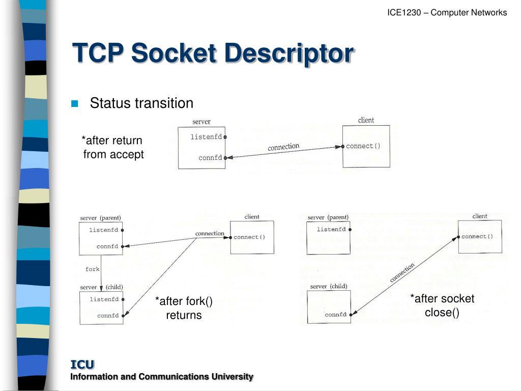 PPT Socket Programming in C PowerPoint Presentation, free download
