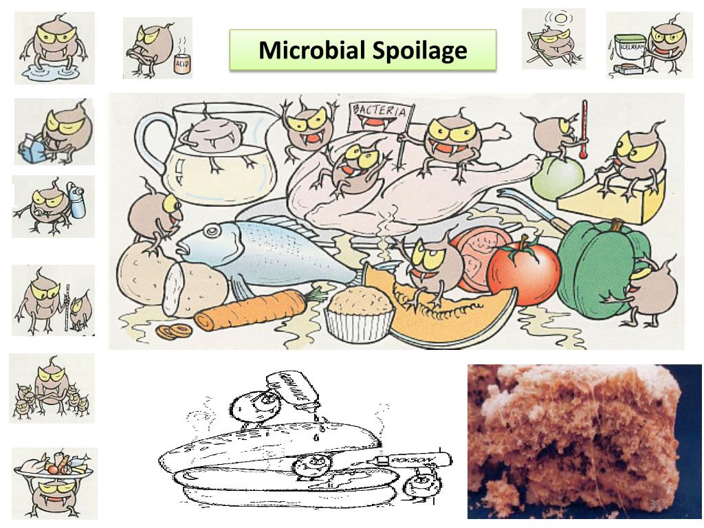 PPT BIOCHEMISTRY OF FOOD SPOILAGE PowerPoint Presentation, free