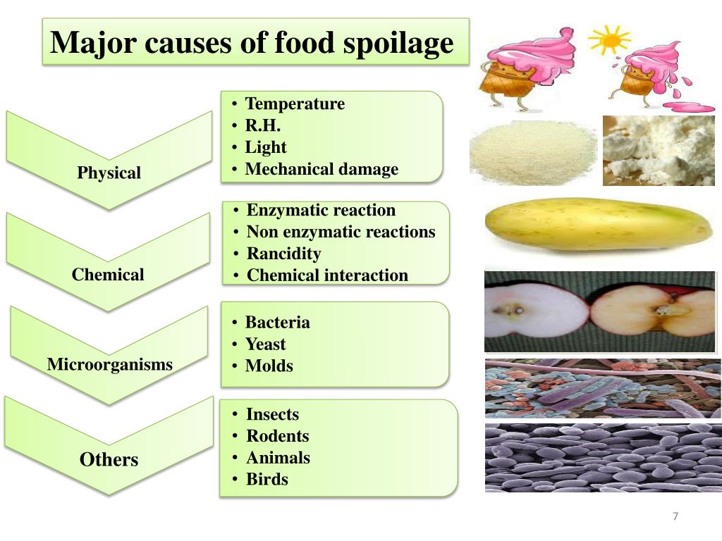 PPT BIOCHEMISTRY OF FOOD SPOILAGE PowerPoint Presentation, free