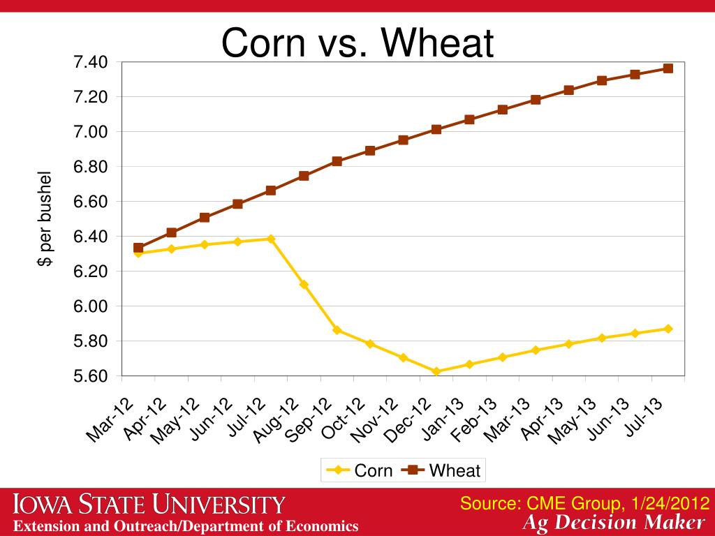 PPT Grain Market Update PowerPoint Presentation, free download ID